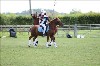 UKPA NC SAT_2651
